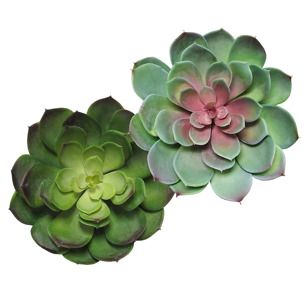 Giant Lotus Succulent Stem Greenery Pick Green Red 8.5in 6.5" H X 8.5" D