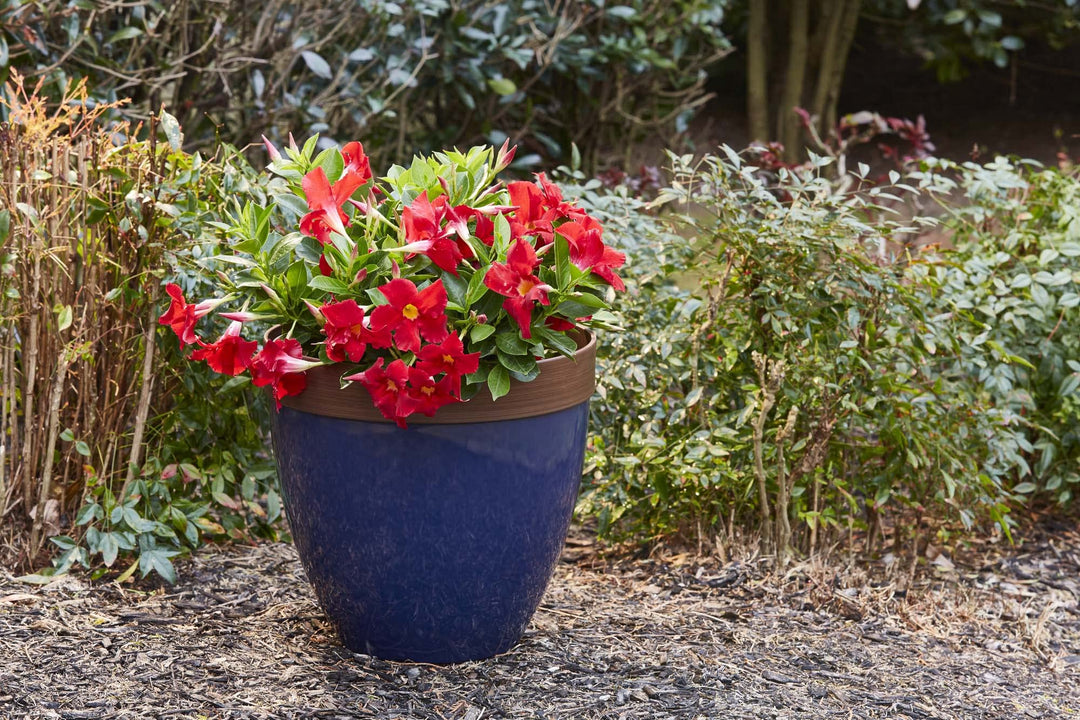 Southern Patio Hornsby Resin Outdoor Planter with Drainage Hole and Plug