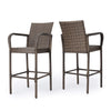 Christopher Knight Home Delfina Outdoor Wicker Barstools 2-Pcs Set Mix Mocha