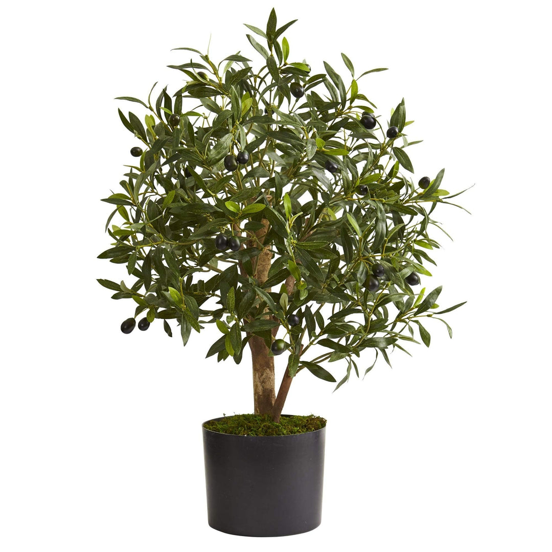 29" Olive Artificial Tree H: 29 in. W: 14 D: in