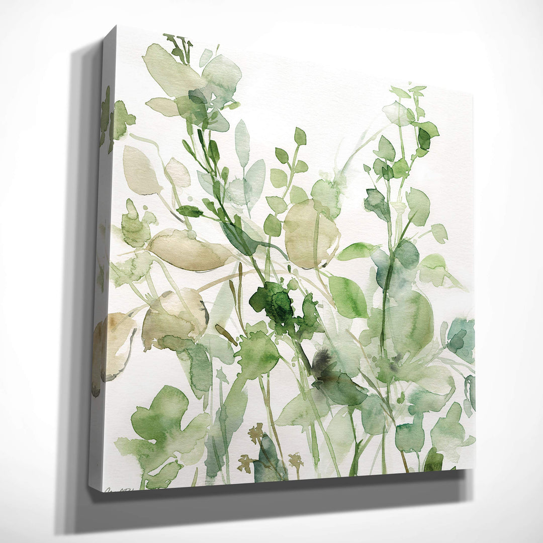 Wexford Home Sage Garden II-Canvas Prints Wrapped Gallery Wall Art|Stretched and 24x24