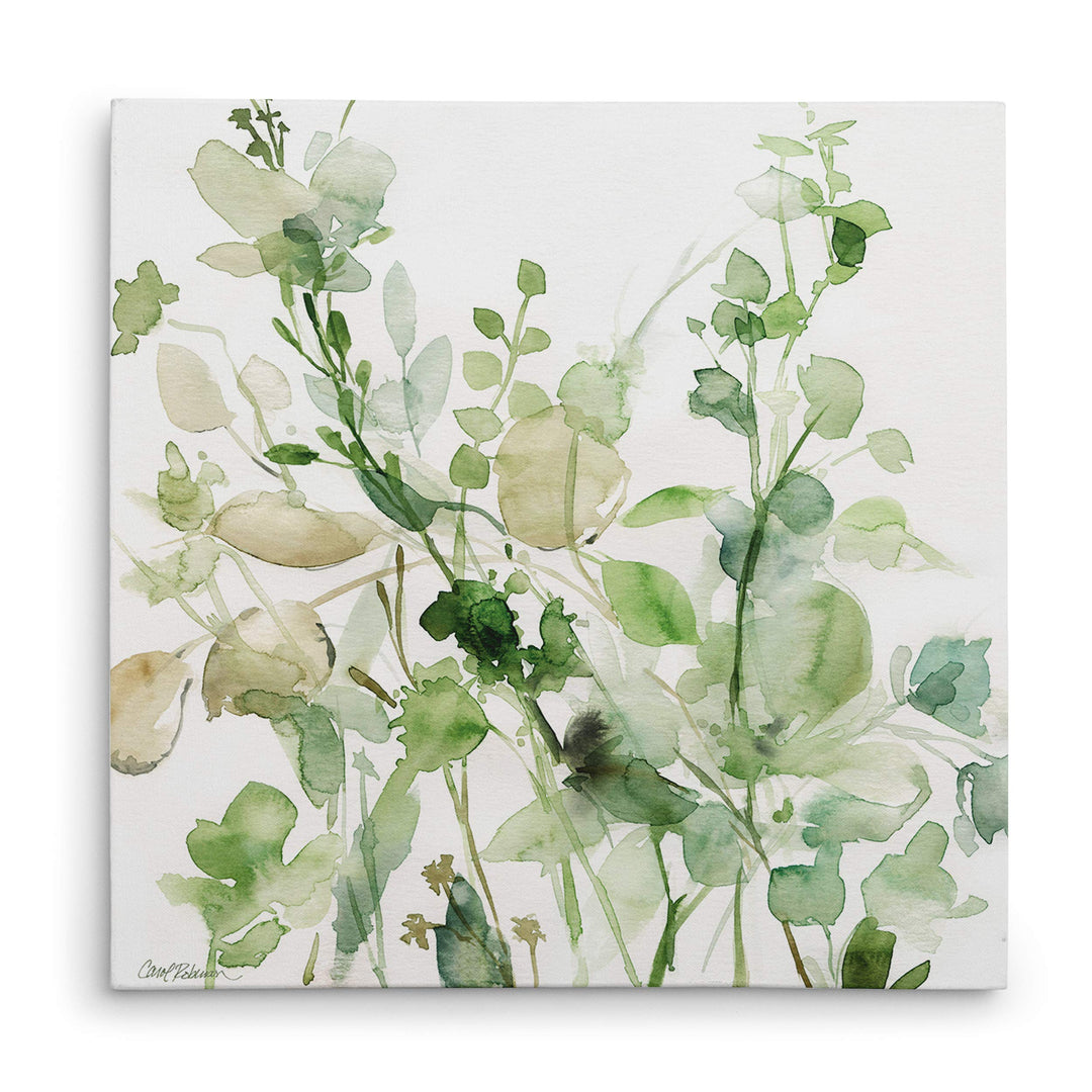 Wexford Home Sage Garden II-Canvas Prints Wrapped Gallery Wall Art|Stretched and 24x24