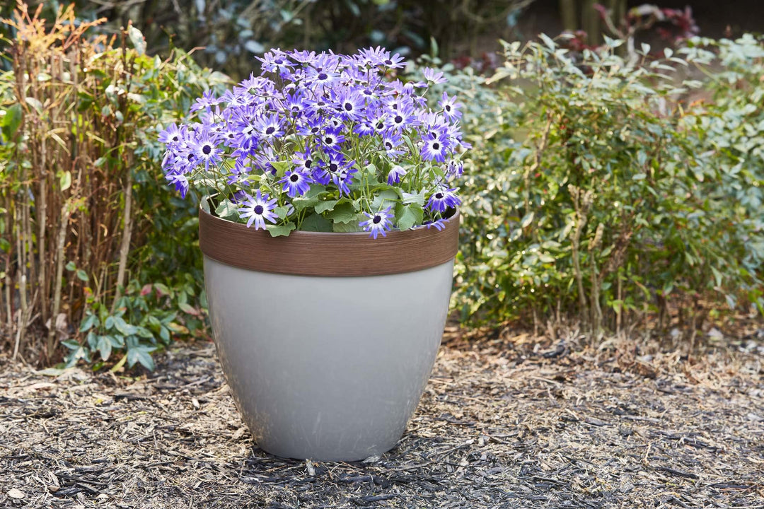 Southern Patio Hornsby Resin Outdoor Planter with Drainage Hole and Plug