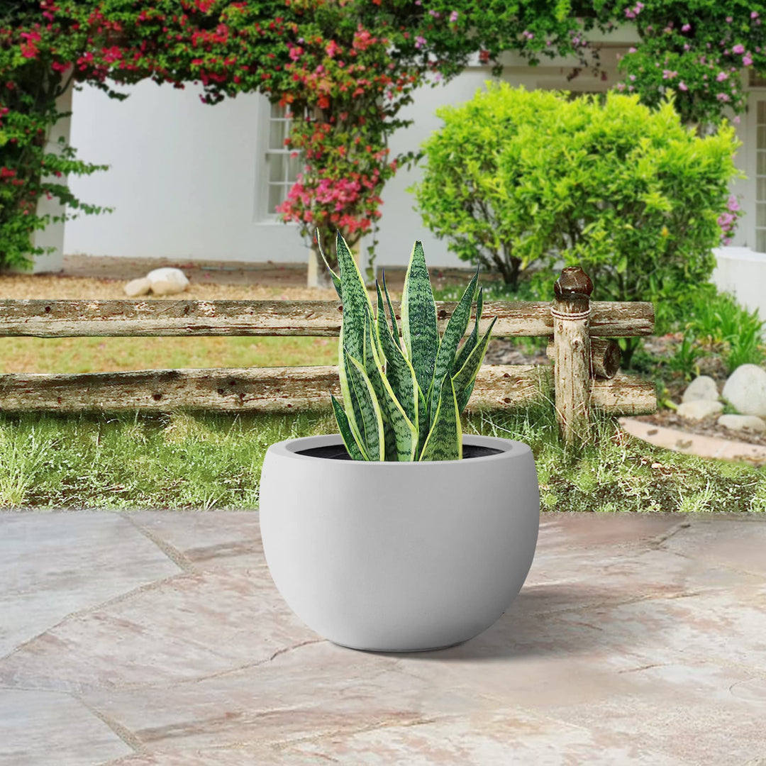 PLANTARA Round Concrete/Fiberglass Indoor & Outdoor Lightweight Decorative Plant