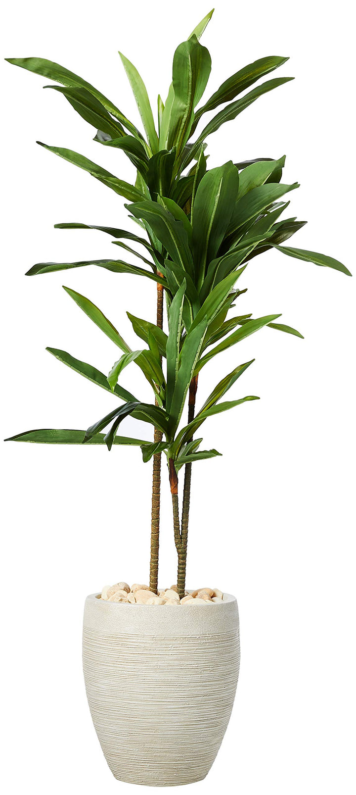 Nearly Natural 4ft. Dracaena Artificial Plant in Sand Colored Planter (Real