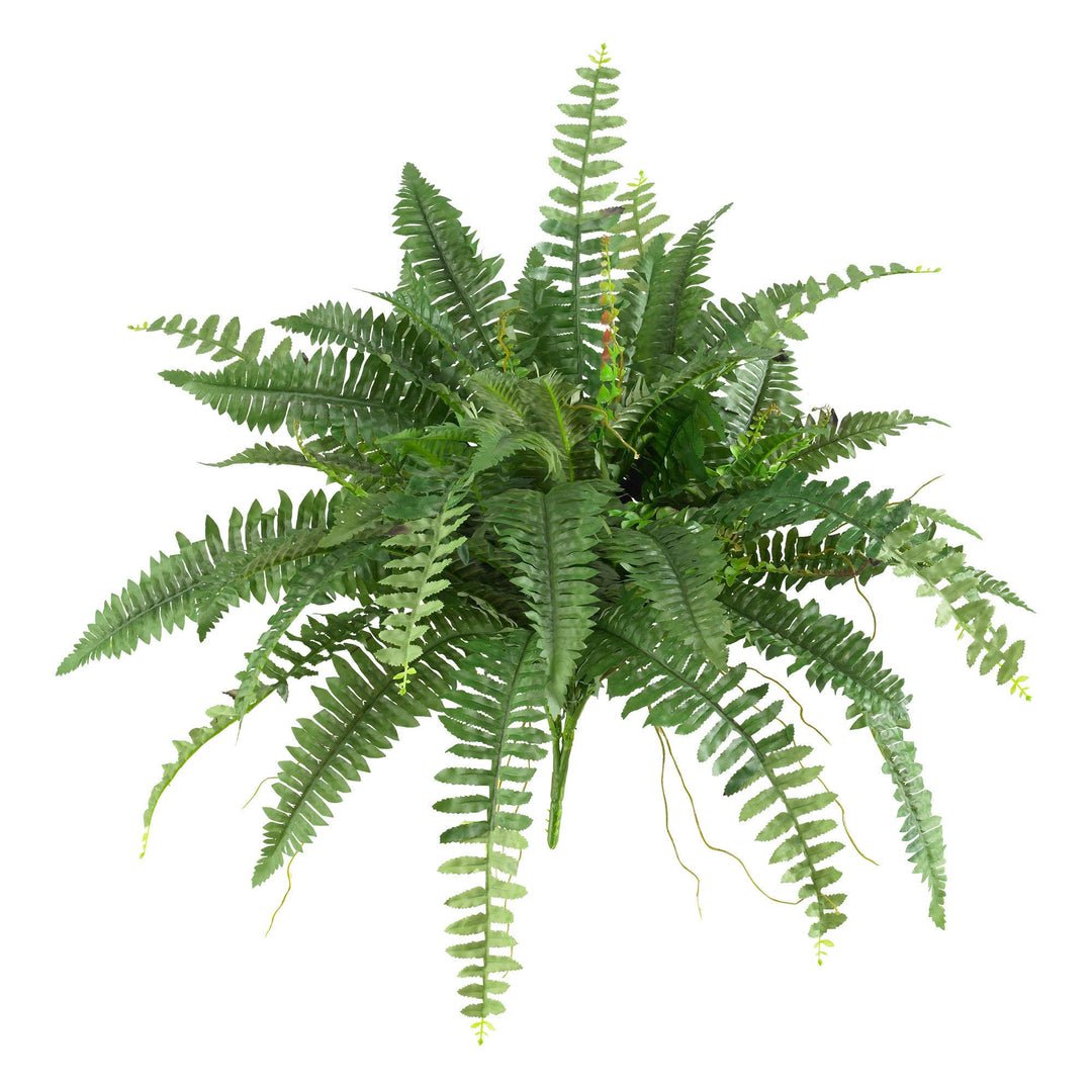 Silk 40-inch Boston Fern (Set of 2)