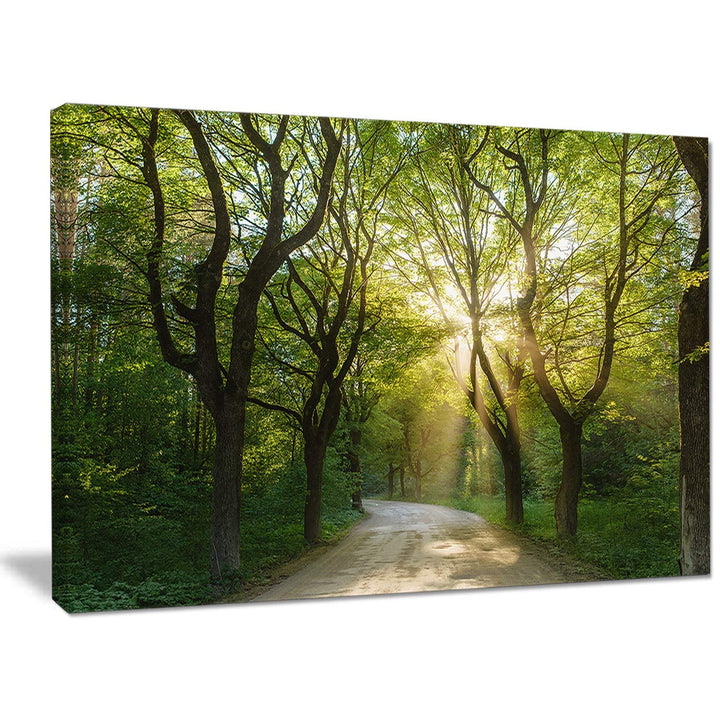 DESIGN ART Designart 'Evening in Green Forest' Extra Large Landscape Canvas