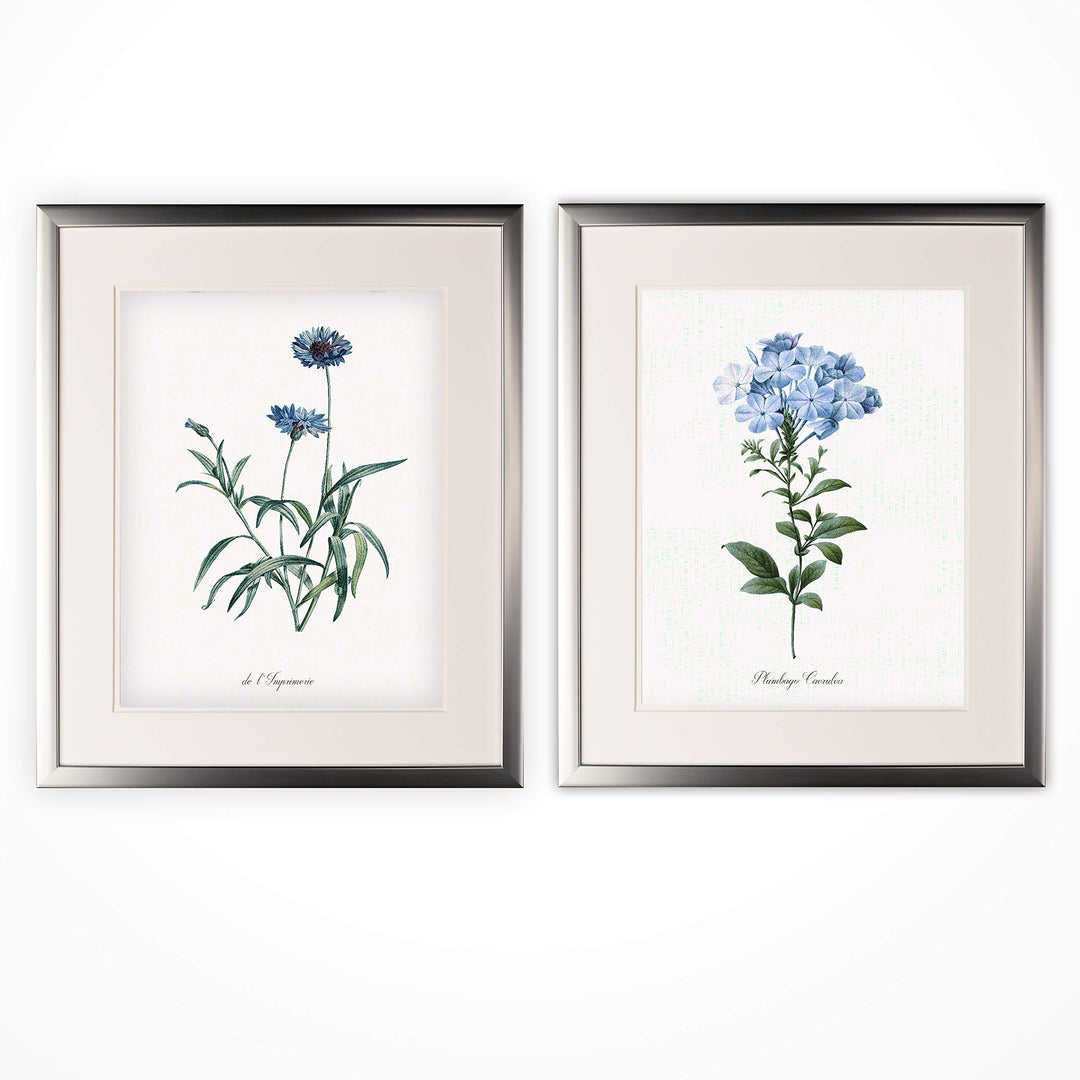 Wexford Home Laurier Rose-2 Piece Set-Silver Frame Art Print 16x20 Imperial Blue