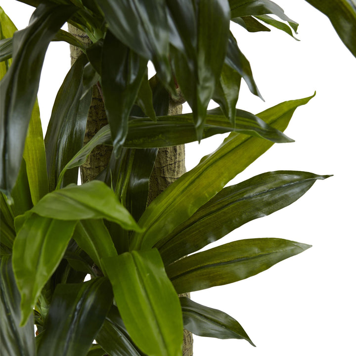 Nearly Natural 5.5ft. Corn Stalk Dracaena with Black Wash Planter