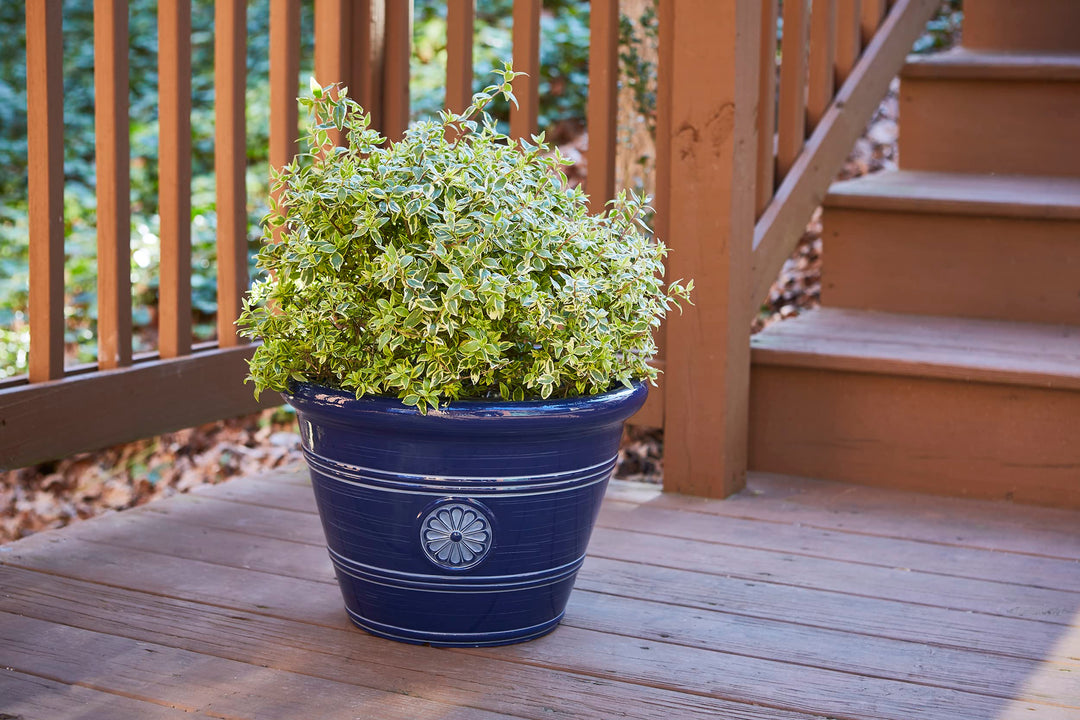 Southern Patio 15.25" Modesto Planter