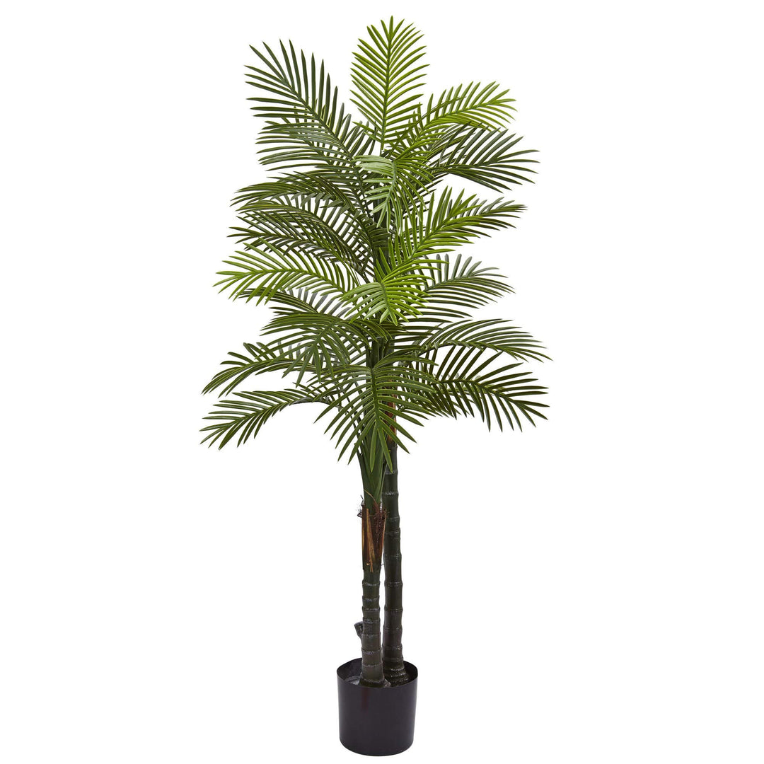 5.5ft Double Phoenix Robellini Palm Tree Tall Artificial Indoor Outdoor