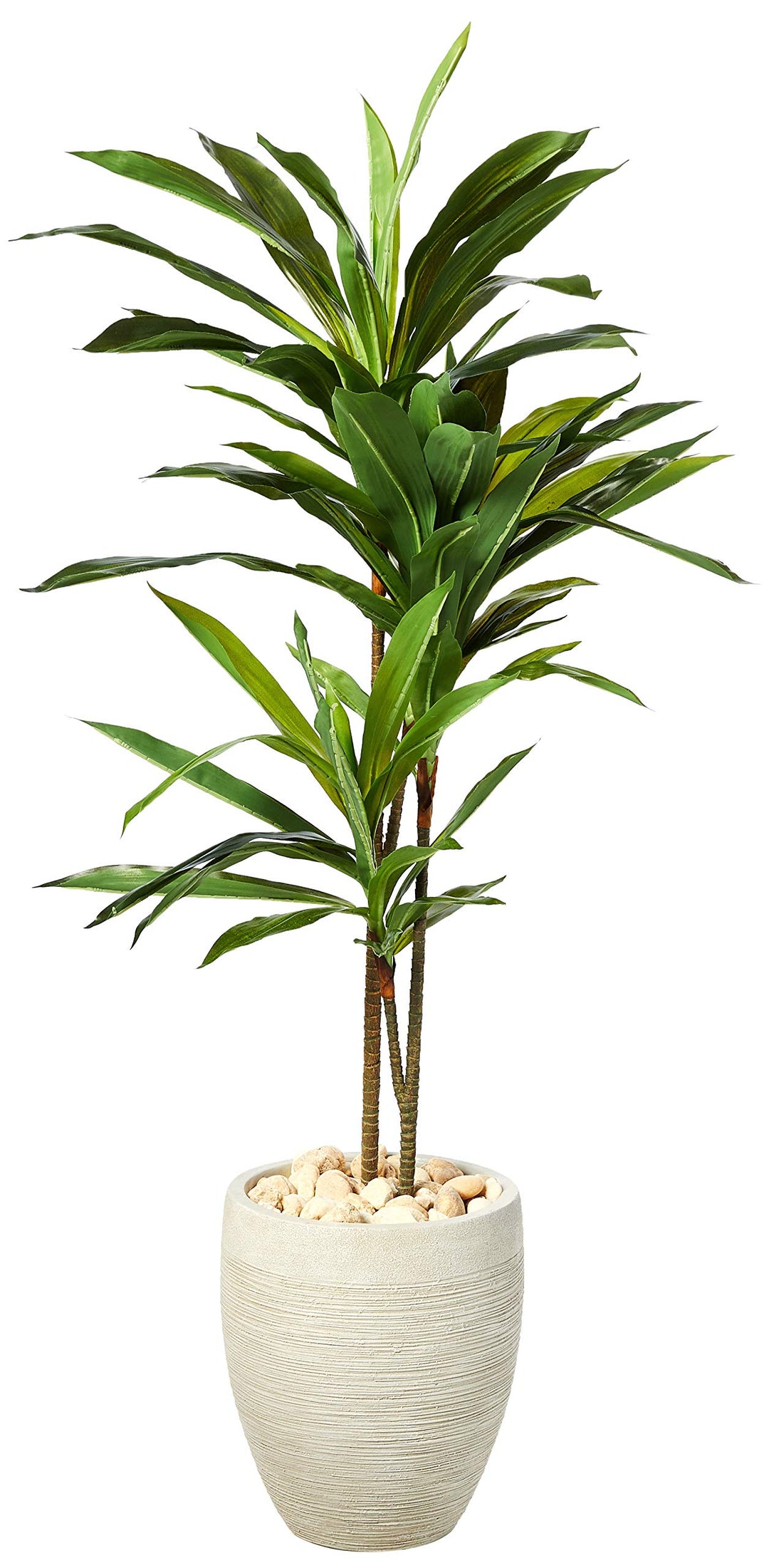 Nearly Natural 4ft. Dracaena Artificial Plant in Sand Colored Planter (Real