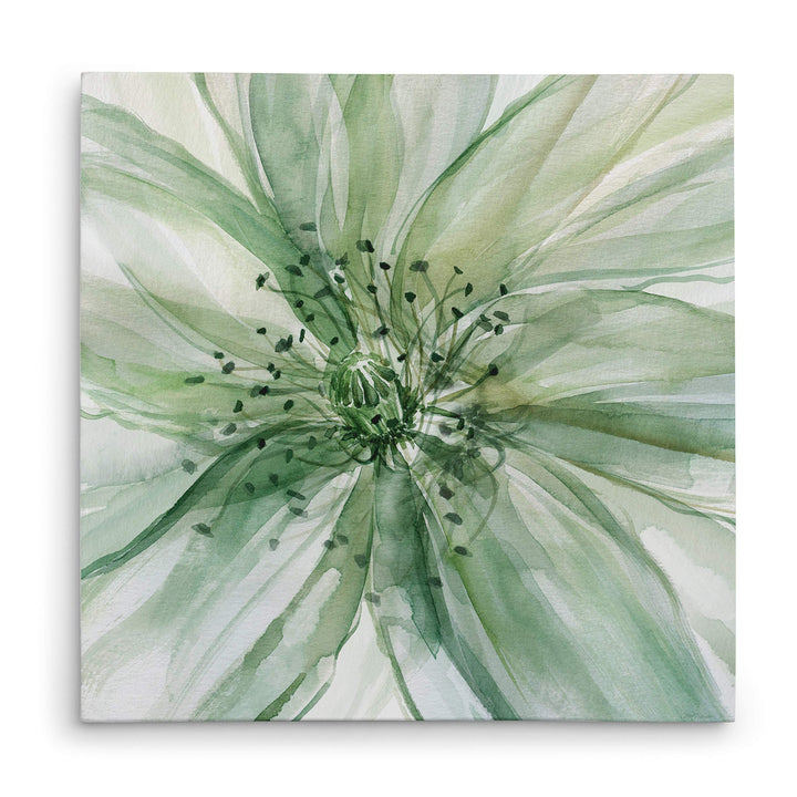 Wexford Home Macro Sage Flower II Gallery Wrapped Canvas Wall Art 16x16