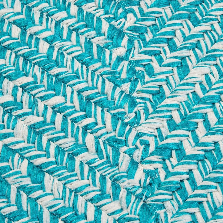 Ocean's Edge Braided Indoor/ Outdoor Area Rug