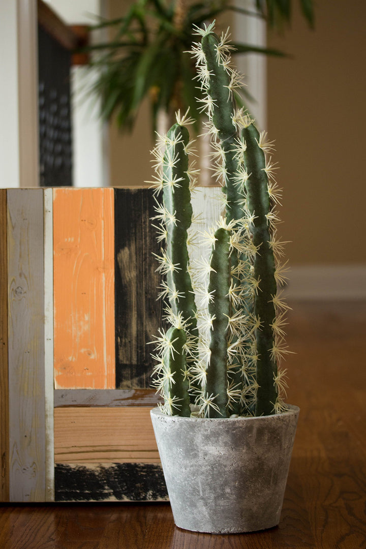 Nearly Natural Decorative Cactus Garden with Cement Planter