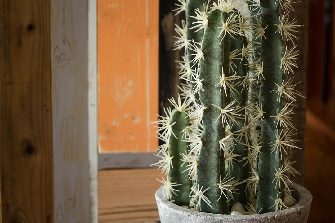 Nearly Natural Decorative Cactus Garden with Cement Planter