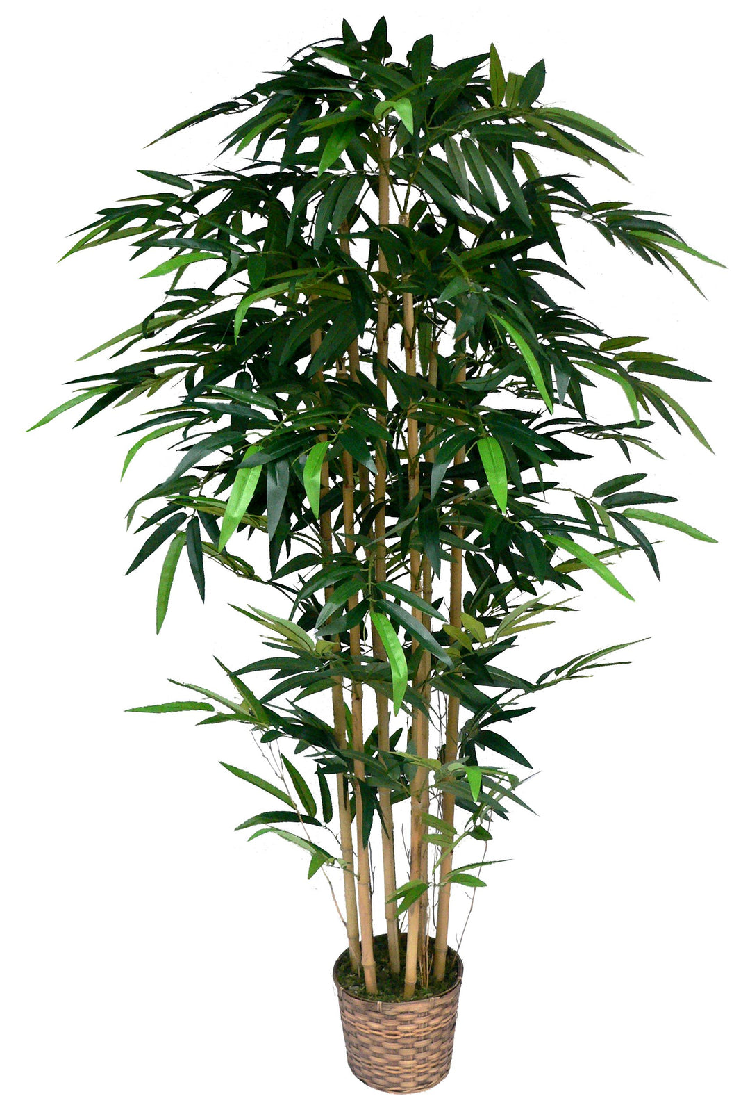 Vintage Home Artificial Faux Plastic 72" Tall Bamboo Tree in Bamboo Wicker Single