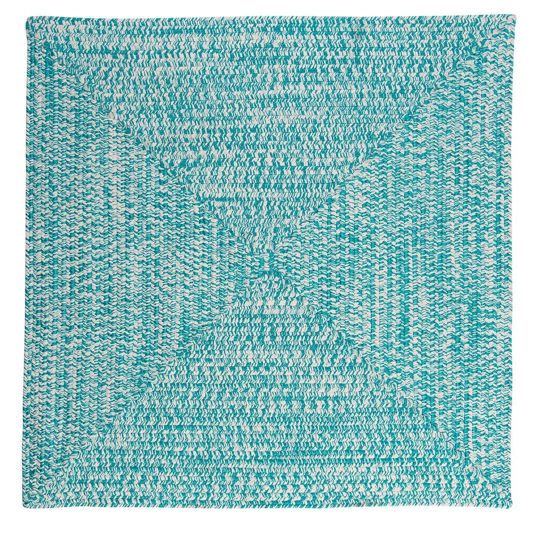 Ocean's Edge Braided Indoor/ Outdoor Area Rug