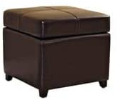 Brown Bi cast Leather Storage Ottoman Modern Contemporary