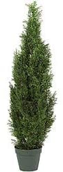 Cedar Tree 4 Foot Indoor/Outdoor Silk