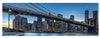 Unknown1 Blue Hour Over New York Wall Mural Brown Novelty