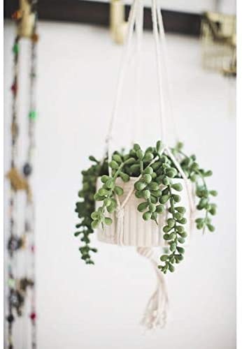 MISC Artificial Plant String Pearls Macrame Hanging Ceramic Donkey Tails One Size Handmade