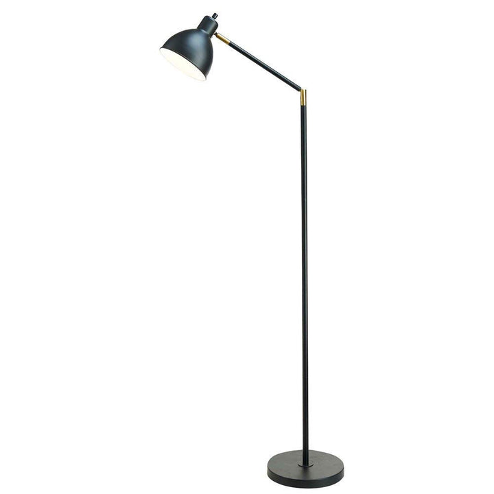 Black Arc Floor Lamp Arm Gooseneck Reading Light Modern Contemporary Standing Lamp Metal Living Room Bedroom Brass