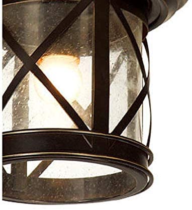 1 Light Outdoor Ceiling Mounted Light Sandy Black Finish Modern Contemporary Transitional - Diamond Home USA