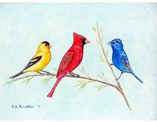 Three Birds Place Mat (Pack 4) Color Rectangle Polyester