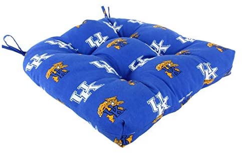 Wildcats Indoor/Outdoor Seat Cushion Patio D 20" X 2 Tie