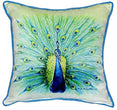 Unknown1 Peacock 22 inch X Throw Pillow Color Bird Casual Polyester Single