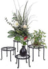 Metal Flower Pot Plant Stand Shelf Set 4 Home Decor Black Country Round