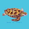 Sea Turtle Coaster Set 4 Color Synthetic Fiber