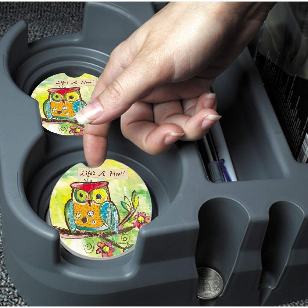 Owl Car Coaster Set Round Absorbent Travel Stoneware Floral Drink Protector Bird Decor Rainbow