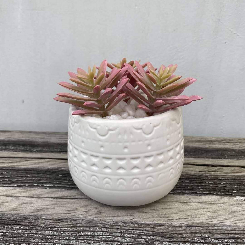 UKN 4 25" h Pink Cactus 4" Mayan Pot One Size Handmade