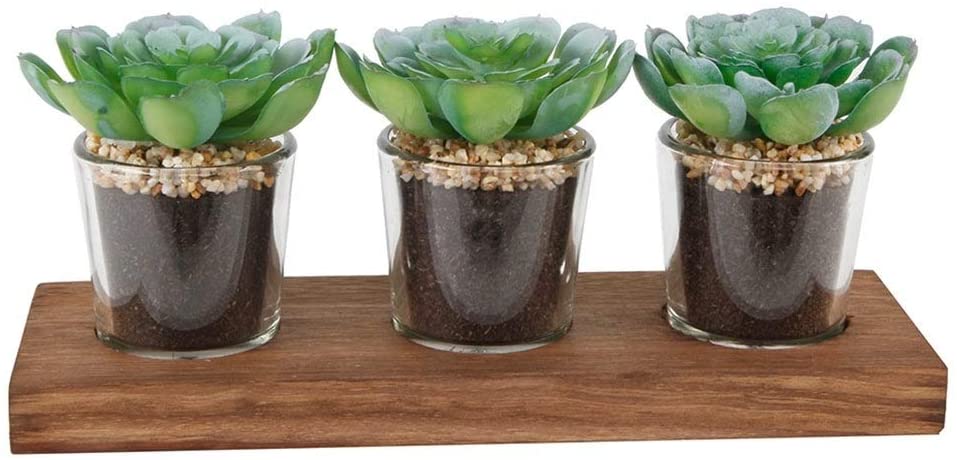 MISC 10" S/3 Shot Glass Artificial Plant Succulent Wood Tray One Size Handmade
