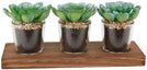 MISC 10" S/3 Shot Glass Artificial Plant Succulent Wood Tray One Size Handmade