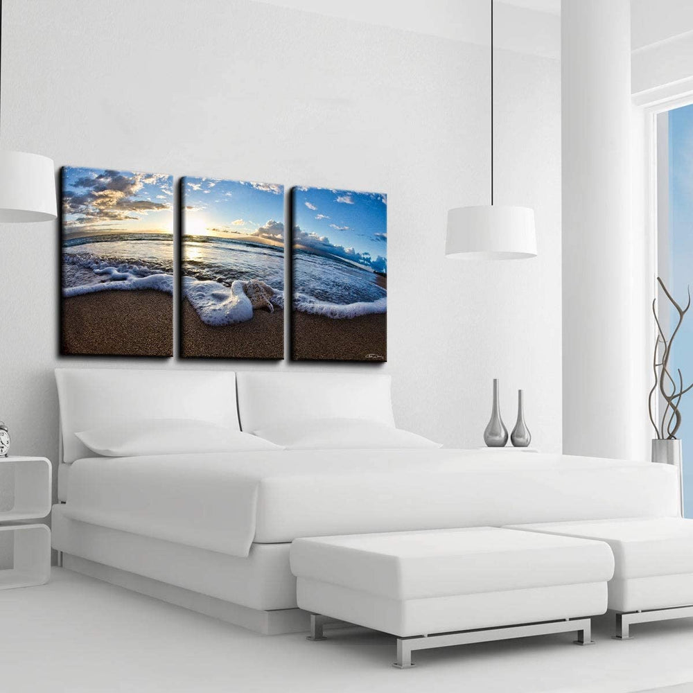 Sea Star Ii' 3 Piece Canvas Wall Art Blue Modern Contemporary Specialty Made USA