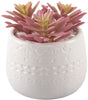 UKN 4 25" h Pink Cactus 4" Mayan Pot One Size Handmade