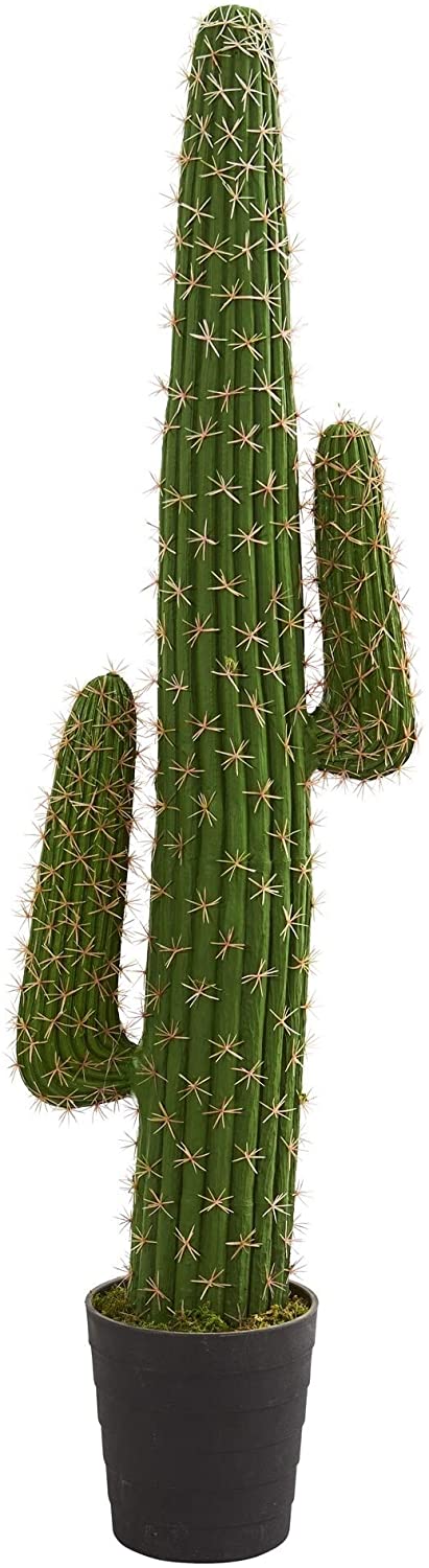 Green Cactus Plant 54" X 10" M Size Artificial Tree