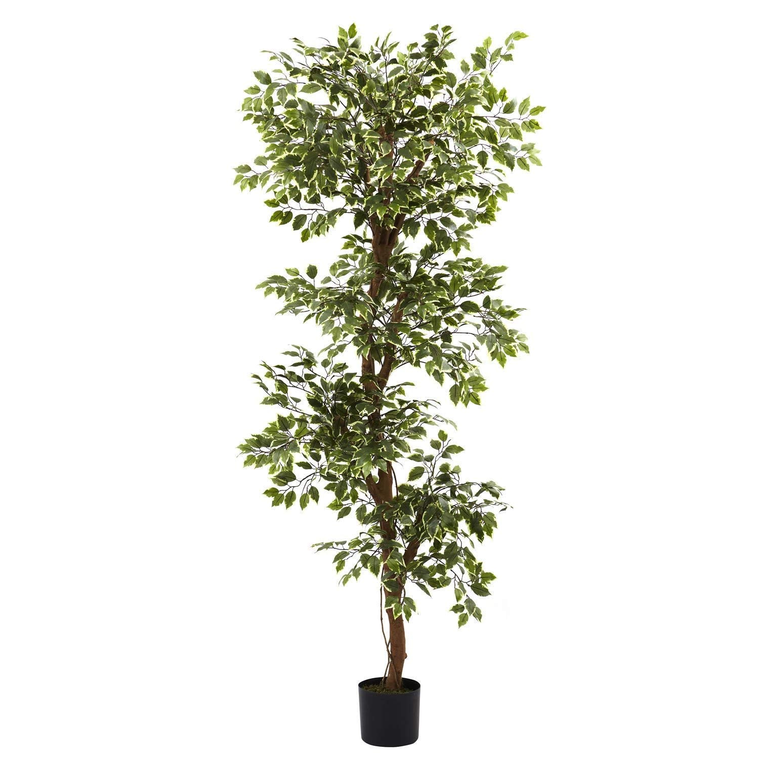 6ft Ficus Tree Tall Decorative Artificial Fig Plant Indoor Large Variegated Trees Natural Looking Feaux Plants Figs Brown Green 6 Foot Polyester
