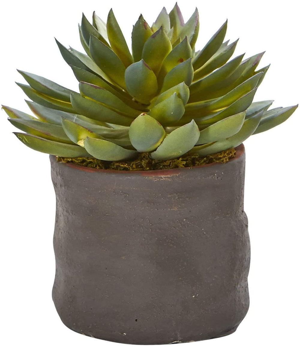 Mixed Succulent Trio Artificial Plant (Set 3) - Diamond Home USA