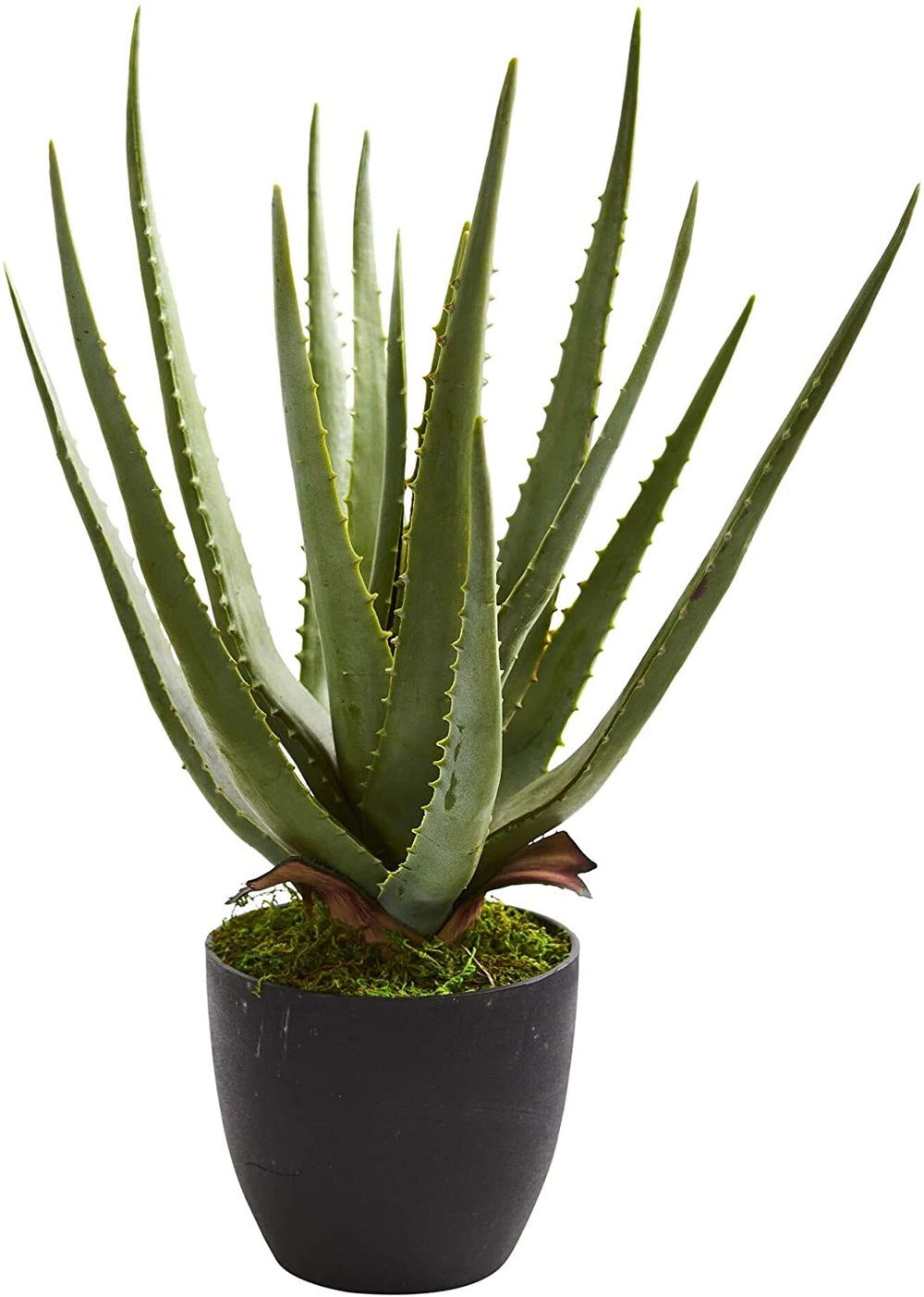 Aloe Artificial Plant (Set 2)