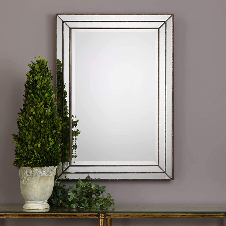 Bronze Mirror 23 85x33 85x0 768 Transitional Hooks Included Includes Hardware