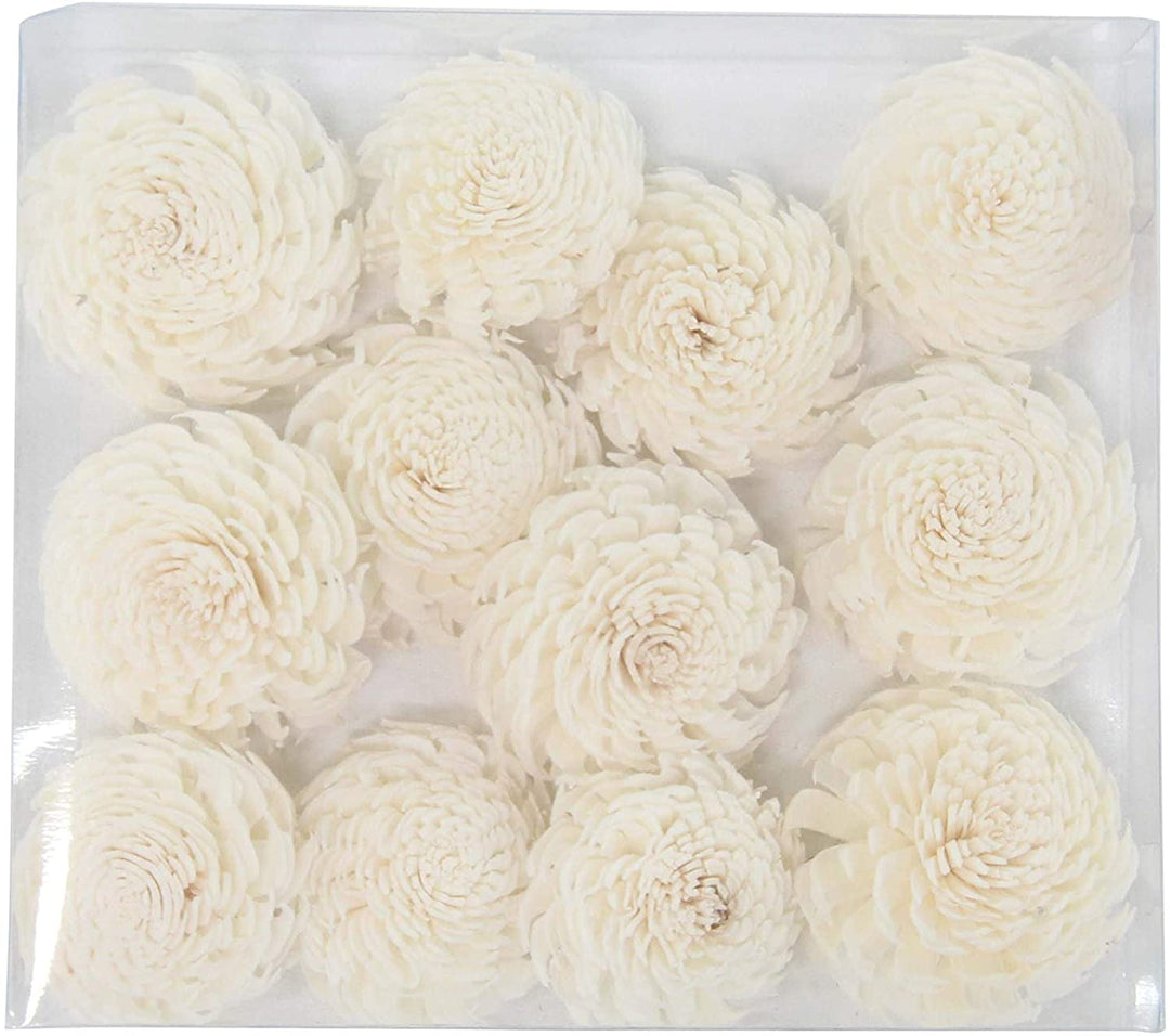 Set 2 Boxed Natural White Carnation Flowers Bohemian Eclectic Fiber Finish