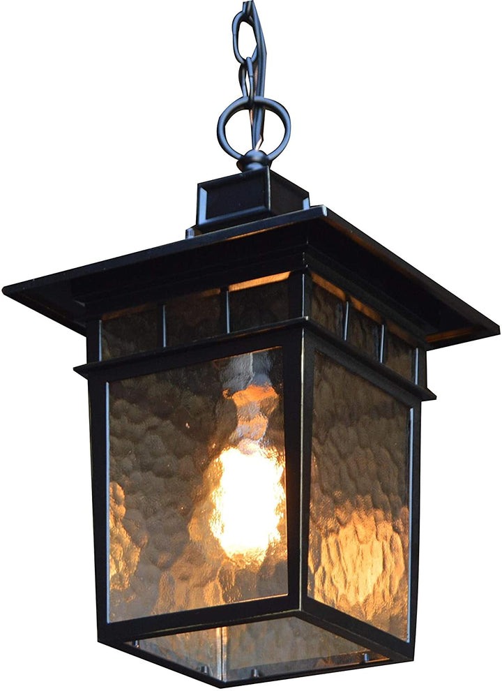 1 Light Hanging Exterior Lighting Imperial Black Finish