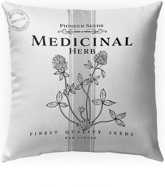 MISC Medicinal Indoor|Outdoor Pillow by 18x18 Grey Geometric Farmhouse Polyester Removable Cover