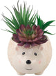 MISC Faux Succulent 6" Large Brown Hedgehog Ceramic Planter One Size Handmade