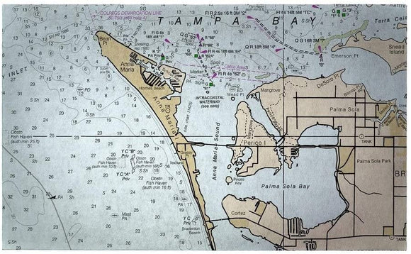 Island Fl Nautical Map Door Mat 18x26 Color Coastal Rectangle Polyester Made USA Stain Resistant