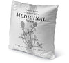 MISC Medicinal Indoor|Outdoor Pillow by 18x18 Grey Geometric Farmhouse Polyester Removable Cover